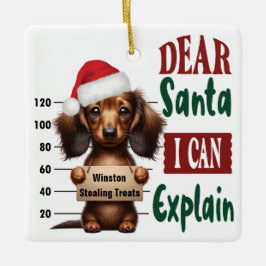 Dachshund Mok Shot: Dear Santa Ik kan het uitlegge Keramisch Ornament