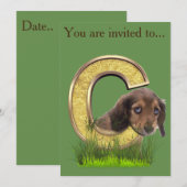 Dachshund-Monogram, hoofdletter C Kaart (Voorkant / Achterkant)