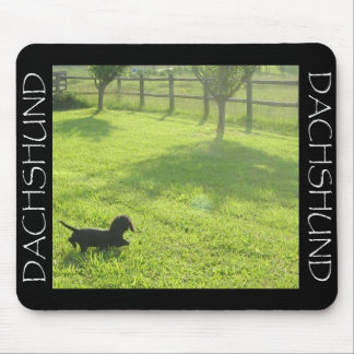Dachshund Mousepad Muismat
