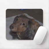 Dachshund Mousepad Muismat (Met muis)