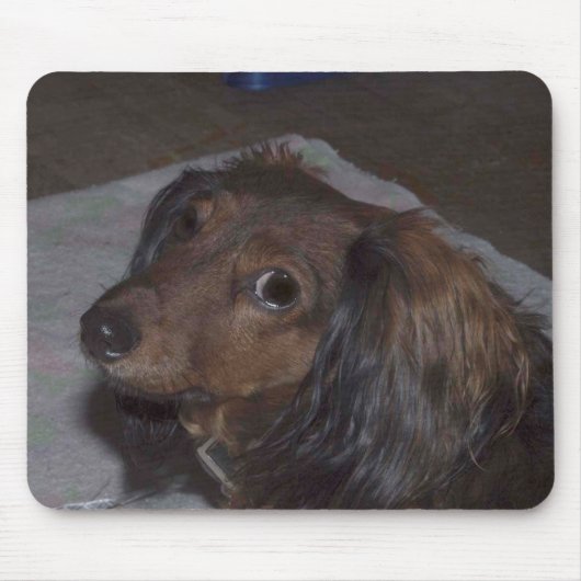 Dachshund Mousepad Muismat (Voorkant)