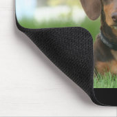 Dachshund Muismat (Hoek)