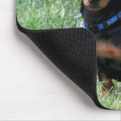 Dachshund Muismat (Hoek)