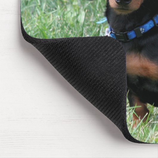 Dachshund Muismat (Hoek)