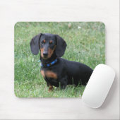 Dachshund Muismat (Met muis)