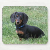 Dachshund Muismat (Voorkant)