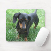 Dachshund Muismat (Met muis)