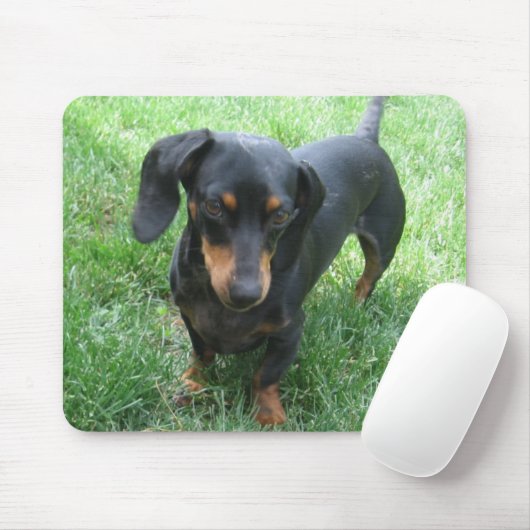 Dachshund Muismat (Met muis)