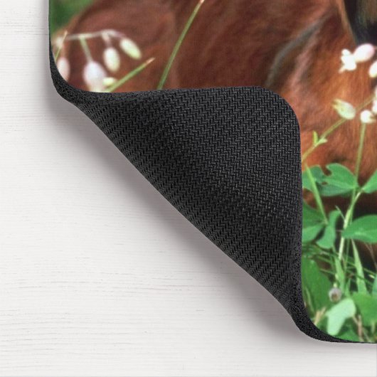 Dachshund Muismat (Hoek)