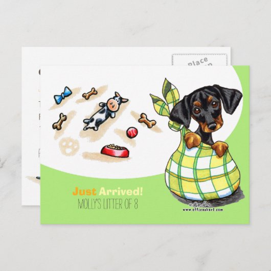 Dachshund New Puppy Social Briefkaart (Voorkant / Achterkant)