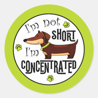 Dachshund Niet Klein Ik Ben Geconcentreerd  Ronde Sticker
