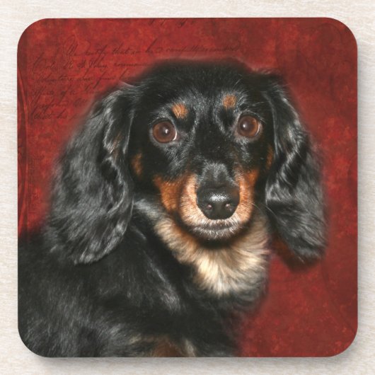 Dachshund Onderzetter (Voorkant)