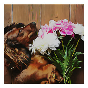 Dachshund op de houten vloer perfect poster