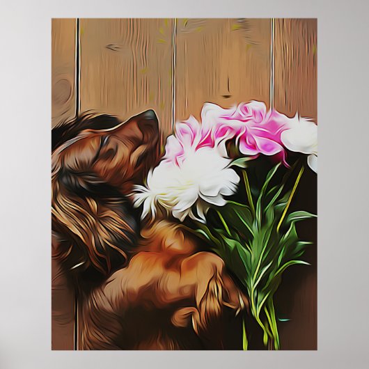 Dachshund op de houten vloer poster (Voorkant)