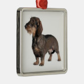 Dachshund Ornament (Rechts)