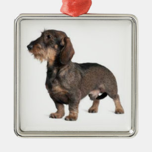 Dachshund Ornament
