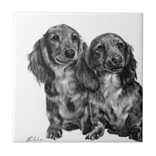 Dachshund Pair Tegeltje (Voorkant)