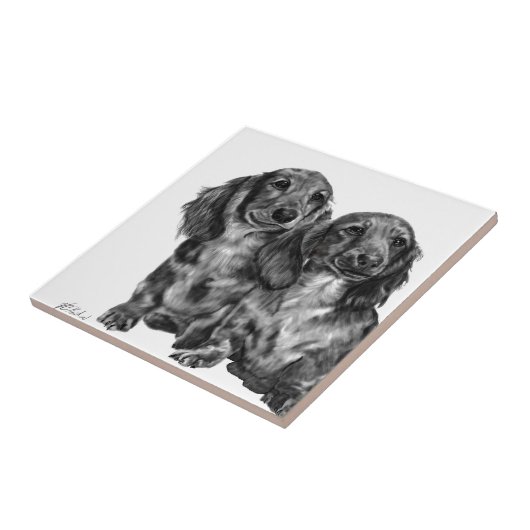 Dachshund Pair Tegeltje (Zijkant)