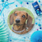 Dachshund Papieren Bordje (Feest)