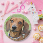 Dachshund Papieren Bordje (Feest)