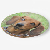 Dachshund Papieren Bordje (Gekanteld)