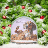 Dachshund Party Sneeuwbol (Kerstmis)