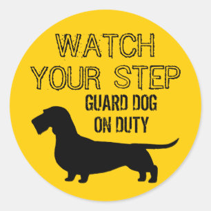 Dachshund Pas Op (Draadharige Doxie) Ronde Sticker