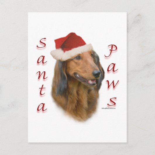 Dachshund Paws - Longhair Briefkaart (Voorkant)