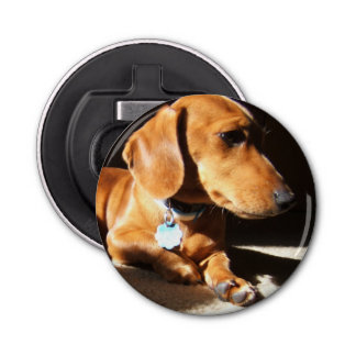 Dachshund Pet Dog Button Flesopener