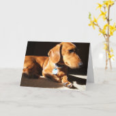 Dachshund Pet Dog Kaart (Gele Bloem)
