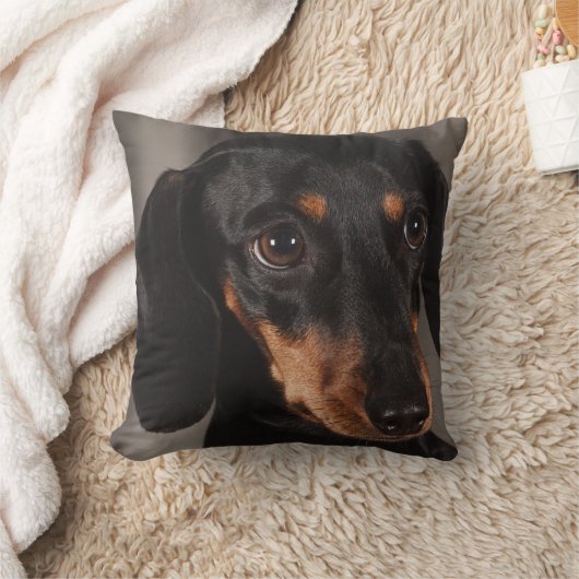 Dachshund Pet Dog Sierkussen Home Decor (Deken)