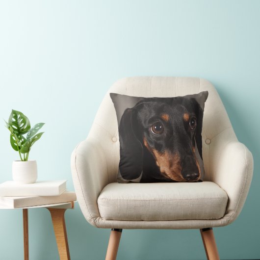 Dachshund Pet Dog Sierkussen Home Decor (Stoel)