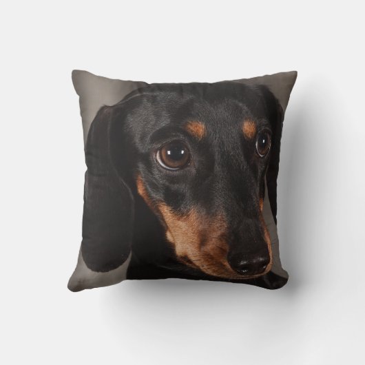 Dachshund Pet Dog Sierkussen Home Decor (Achterkant)