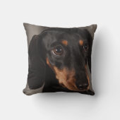 Dachshund Pet Dog Sierkussen Home Decor (Voorkant)