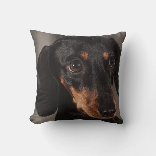 Dachshund Pet Dog Sierkussen Home Decor (Voorkant)