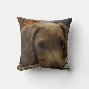 Dachshund Pet Dog Sierkussen Home Decor