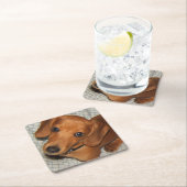 Dachshund Pet Puppy Eyes Kartonnen Onderzetters (Insitu)