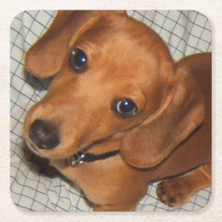 Dachshund Pet Puppy Eyes Kartonnen Onderzetters