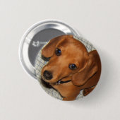 Dachshund Pet Puppy Eyes Ronde Button 5,7 Cm (Voorkant /achterkant)
