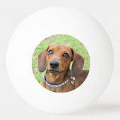 Dachshund Pingpongbal (Achterkant)