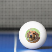 Dachshund Pingpongbal (Net)