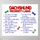 DACHSHUND PL2 POSTER (Voorkant)