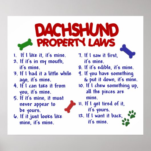 DACHSHUND PL2 POSTER (Voorkant)