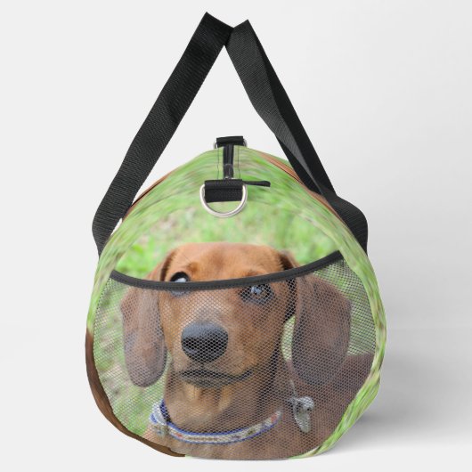 Dachshund Plunjezak (Rechts)