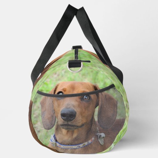 Dachshund Plunjezak (Rechts)