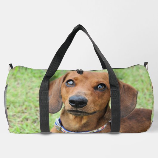 Dachshund Plunjezak (Achterkant)