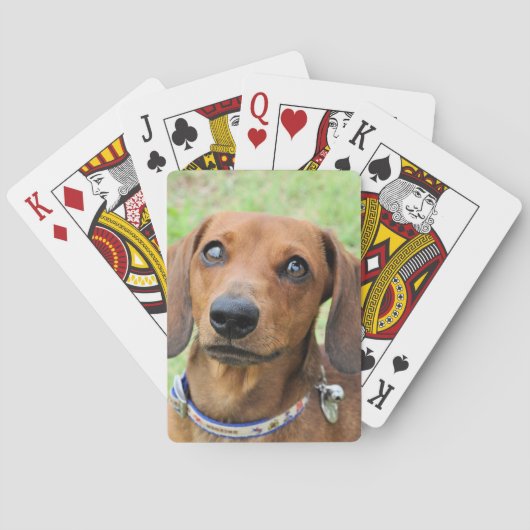 Dachshund Pokerkaarten (Achterkant)