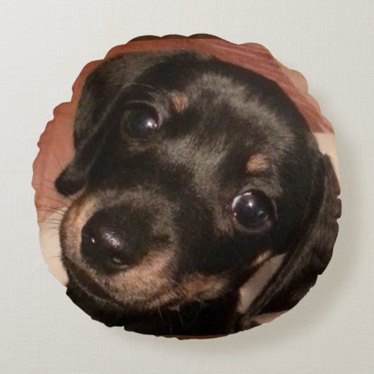 Dachshund Poly Round Sierkussen (16 inch) Rond Kussen (Voorkant)