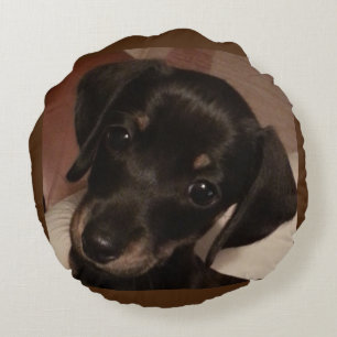 Dachshund Poly Round Sierkussen (16 inch) Rond Kussen
