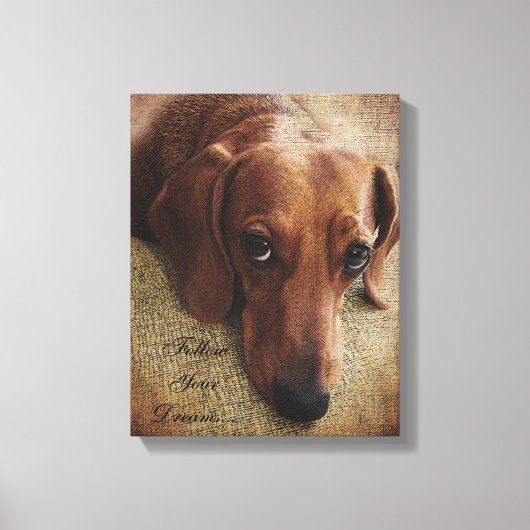 Dachshund Portrait Canvas Wrap (Voorkant)